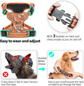 Timos Dog Harness, No Pull Large Sized with 3 Buckles, Flower Orange, L
