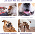 Fuzzwoof No-Stuffing Bunny Squeaky Dog Toy, Cute Plush Puppy Teething Toy to Keep Them Busy, Rabbit Interactive Tug of War & Dental Chew for Small Medium Large Dogs