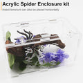 Jumping Spider Enclosure, Spider Terrarium, Acrylic Enclosure Kit, Small Terrarium, Insect Habitat for Spiders, Praying 