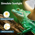 LUCKY HERP Heat Lamp Bulbs - 150W Reptile Heat Lamp 2 Pack, Daylight Basking Heat Lamp Bulbs for Reptile, UVA Heat Light