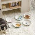 Seyatoo Ceramic Cat Bowls Set - 5.7 inch Wide Cat Food Bowls Whisker Fatigue Friendly, 5 Colorful Kitten Dish Plates with Cute Pattern for Wet and Dry Food Water