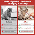 Probiotics for Cats & Digestive Support Gel – Cat Probiotic with Prebiotics, Taurine & Papain – Supports Gut Balance, Di