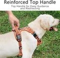 Timos Dog Harness, No Pull Large Sized with 3 Buckles, Flower Orange, L