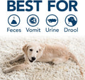 Simple Solution Extreme Stain & Odor Remover, Enzyme Stain Cleaner, Gallon