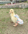 Duck Diapers, Chicken Diapers, Special Diapers for Poultry, Chicken, Duck and Goose Waterproof, Adjustable, Washable and