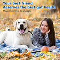 Dog Multivitamin Chews 150ct 40-in-1 Dog Vitamins and Supplements Chewable Contain Probiotics Omega-3 Glucosamine, Multi