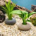 6 PCS Natural River Stone Plant Weights for Aquarium, 0.8'' Hole Diameter