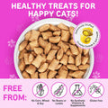 Cat Vitamins Chews, 15 in 1 Cat Multivitamin Treats for Health, Immune, Joint Support, Skin & Coat, & Digestion, Vitamin