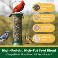 Happy Wings 5LB Songbird Blend Bird Food, Sunflower, Safflower, Peanuts