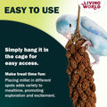 Living World - Millet Spray for Birds, 3.5 Oz – Premium Treat for Budgies, Canaries, Finches, Cockatiels and Other Pet Birds