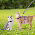 PAWCHIE Cat Harness with Leash and Collar Set - Escape Proof Adjustable H-shped Cat Harness with Star and Moon Pattern Glow in The Dark for Kitty Outdoor Walking