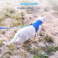Cat Harness and Leash Set for Walking Escape Proof, Blue, Large
