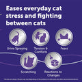 FELIWAY Optimum Cat Calming Diffuser Refill – Cat Pheromone Diffuser Refill for Advanced Support to Reduce Stress, Spraying, Scratching, Fighting and Hiding– 2 Pack