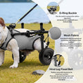 Rear Wheels Mobility Aid Cart Dog Wheelchair for Back Legs, M