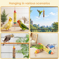 KATUMO 2PCS Bird Treats, Natural Parrots Sticks for Lovebird Conure Canary