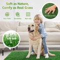 LOOBANI Dog Grass Pee Pads, 2 Pack Artificial Grass for Potty Tray, 14x18in