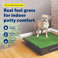 PetSafe Pet Loo Portable Pet Potty Replacement Grass - Medium