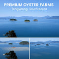 KorGourmetta | Oyster Shell Flour 1lb – Finely Ground Calcium Material for Chickens, Ducks, Birds, Reptiles, Amphibians, and More – Crushed Oyster Shell Alternative | 굴껍질가루 (1lb)