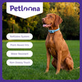 Flea Collar for Dogs, Flea & Tick Collar for Dogs, Refillable