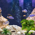 Moonorange Reptile Artificial Plants, Terrarium Plants Decorations Supplies, Aquarium Fish Tank Plant, Amphibian Habitat