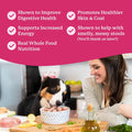 Dr. Harvey's Raw Vibrance Dog Food Base Mix (3 lb)