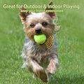 Magicorange Dog Tennis Balls, 20 Pack 2.5 inch Squeaky Tennis Balls