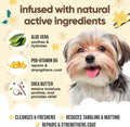 Buddycare Vanilla & Shea Butter Dog Shampoo - (16.90oz) Itch Relief & Dog Shampoo Sensitive Skin Care, Dog Shampoo and C