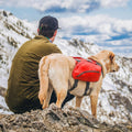 Kurgo Big Baxter Dog Backpack, Dog Saddlebag, Dog Pack, Adjustable Saddlebag for Hiking, Walking, Running, Camping, Chili Red/Barn Red