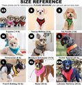 Authentic Puppia Soft Dog Harness