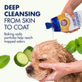 Arm & Hammer 2-in-1 Dog Shampoo and Conditioner, Cucumber Mint, 20 Fl Oz