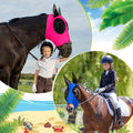 Weewooday 3 Pcs Horse Fly Mask with Ears, L, Purple, Blue, Pink