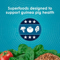 Kaytee Forti-Diet Pro Health Nourish+Protect Guinea Pig Food, 5 lb