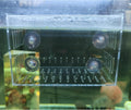 Acrylic Fish Tank Isolation Box 6"x4"x4" - No Assembly - Clear View Breeding Hatchery with Suction Cups & Feeding Kit (F