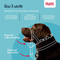 Halti Headcollar (Size 4, Black) & Training Leash (Size L, Black) Bundle