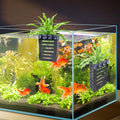Aquarium Plant Holder 4 PCS Aquatic Plant Pot (Black)