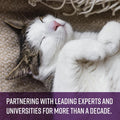 Sentry Behavior Portable Calming Diffuser Refill for Cats, Reduces Response to Normal Stress and Bad Behavior with Calming Phereomones, Easy-to-use Portable Design, 60 Day Release