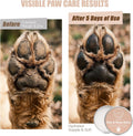 All in One Natural Vegan Dog Paw and Nose Balm, Winter and Summer Paw Protection from Snow, Ice, Salt and Hot Pavement, 