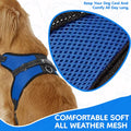 Copatchy No Pull Reflective Adjustable Dog Harness With Handle- Comfortable Soft All Weather Mesh, Easy On Puppy Harness For Small Medium and Large Dogs (Blue) Small