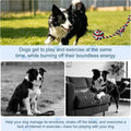 Flirt Pole for Dogs Interactive Dog Toys for Large Medium Small Dogs