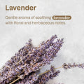 Attitude Natural 2 in 1 Nourishing Shampoo & Conditioner for Cat & Dog, Vegan and Cruelty-Free, Lavender & Argan Oil, 16