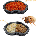 2 Pack Shallow Reptile Food Bowls, Reptile Feeding Terrarium Bowls for Bearded Dragon Lizard Frog Gecko Tortoise Hermit 