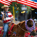 Frienda 4 Pcs 4th of July Horse Fly Mask with Ears 250th Anniversary Horse Face Covering Elasticity Smooth Comfortable M