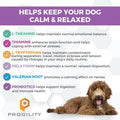 Nootie Progility Dog Calming Supplement for Stressful Situations & Daily Support – Supports Calm Behavior & Emotional Balance with Melatonin, Soft Calming Chews (90 Count)
