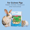 Kaytee Krunch-A-Rounds Sesame Covered Peanut Treat, Rabbit Treats, 3 Oz