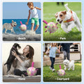 QDAN Dog Balls, Dog Soccer Ball with Straps, Pink Girl Puppy Toy Balls for Small Medium Dogs, Outdoor Water Pool Toys, Puppy Pet Birthday Gifts, Rainbow（6 Inch）