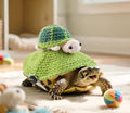 Warm Knit Tortoise Sweater, Handmade Turtle Sweater Small Animal Sweater Pet Shell Decoration Outfit Turtle Clothes Tort