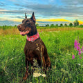 Wide Martingale Collar for Dogs,Red Floral No Pull Dog Collar for Large Dog