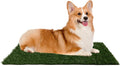 PETMAKER Artificial Grass Puppy Pee Pad for Dogs, Set of 3, 18.5” x 23”