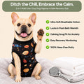 PetWarm Neuter Recovery Suit, Dog Surgical Suit, Cosmic, Black Gold, L