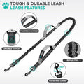 PetAmi Hands Free Dog Leash with Padded Lumbar Waist Belt, Shock Absorbing Bungee, Quick Release Buckle, Dual Handle, Running Jogging Walking Leash for Medium Large Dogs Up to 125 lbs, Grey